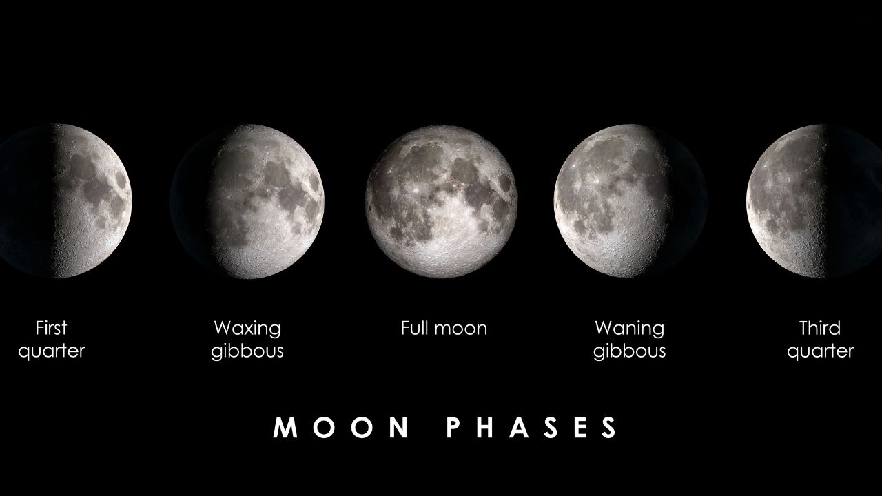 Diagram showing different phases of the moon